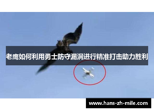 老鹰如何利用勇士防守漏洞进行精准打击助力胜利 老鹰如何利用勇士防守漏洞进行精准打击助力胜利