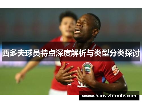 西多夫球员特点深度解析与类型分类探讨 西多夫球员特点深度解析与类型分类探讨